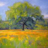 Landscapes card range : LD 12