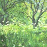 Landscapes card range : LD 34 COW PARSLEY