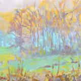 Landscapes card range : LD 35 SUN THROUGH RAIN 