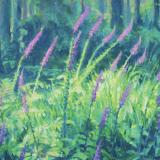 Landscapes card range : LD 36 FOXGLOVES