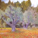 Landscapes card range : LD 39 OLIVE GROVE 
