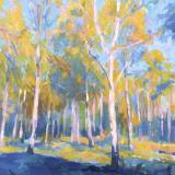 Landscapes card range : LD 40 BIRCH WOOD