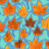 Leaf Press card range : LP03 Maple   
