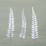 Leaf Press card range : NEW! Silver Fern LP10