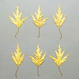 Leaf Press card range : NEW! Golden Birch  LP11