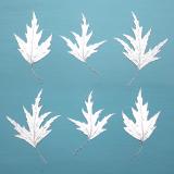 Leaf Press card range : NEW! Silver Birch 2  LP13