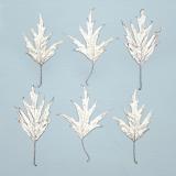 Leaf Press card range : NEW! Silver Birch 3  LP14